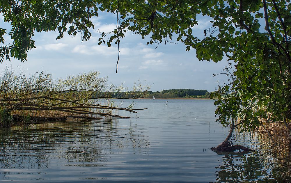 am Seddiner See