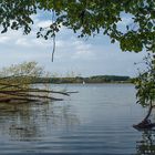 am Seddiner See