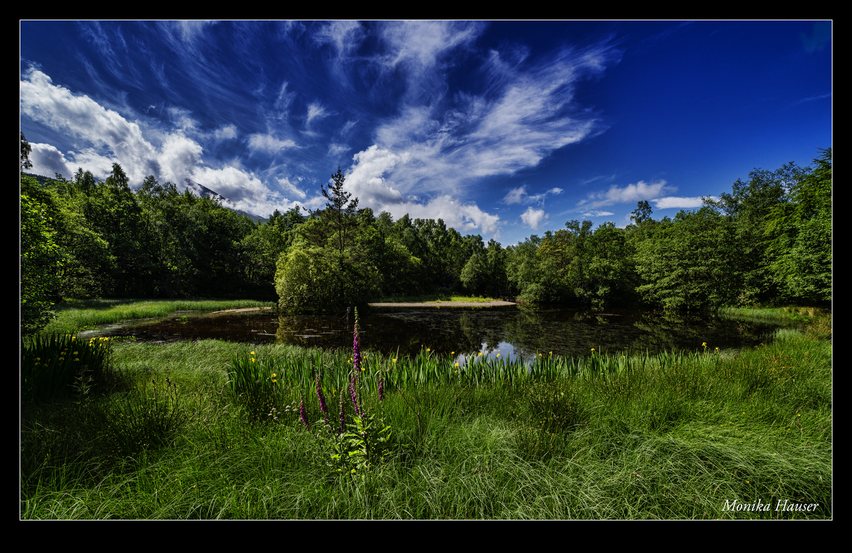 Am See