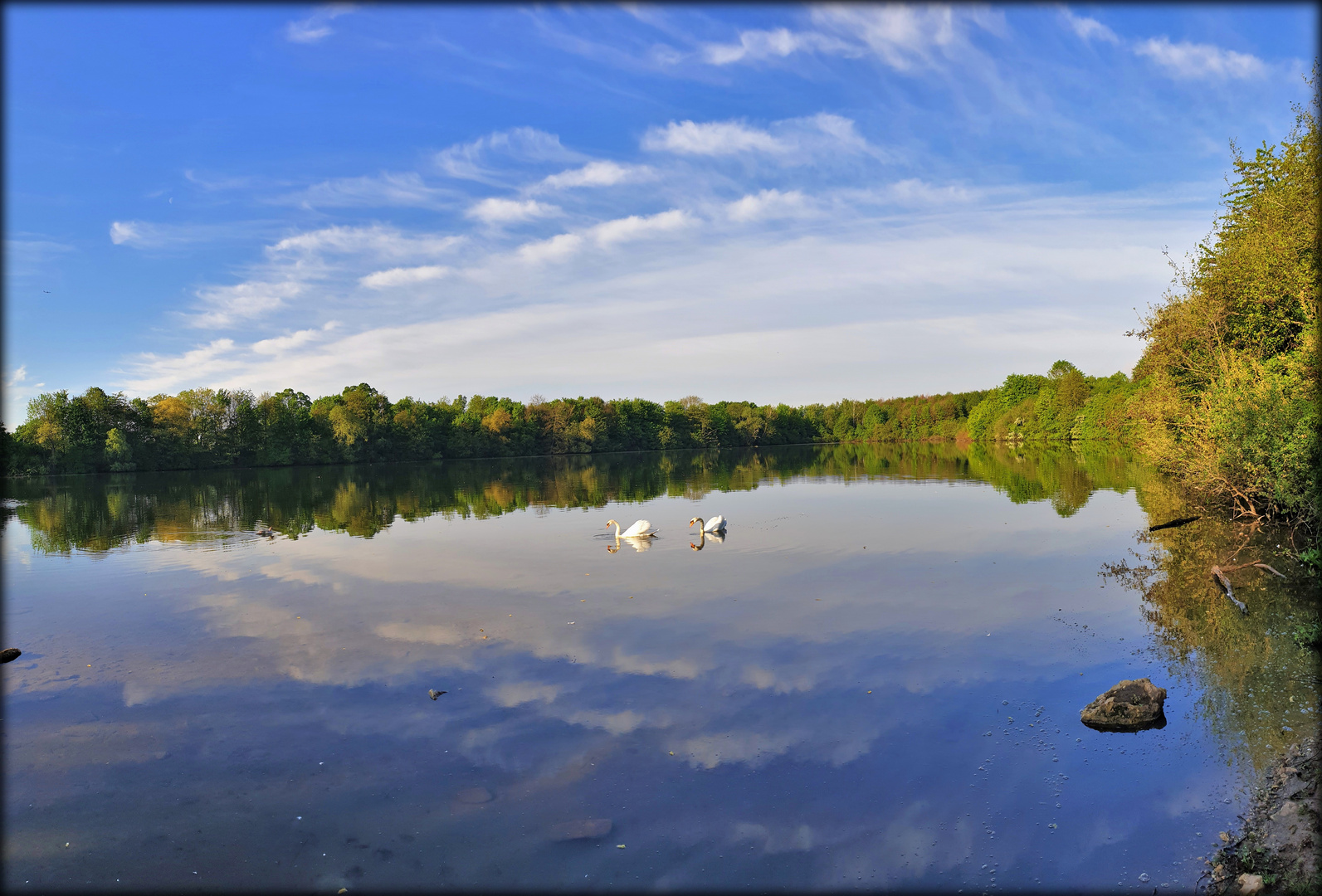 am see