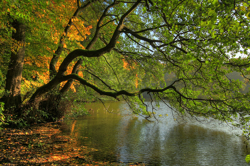 am See...