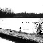 Am See -2