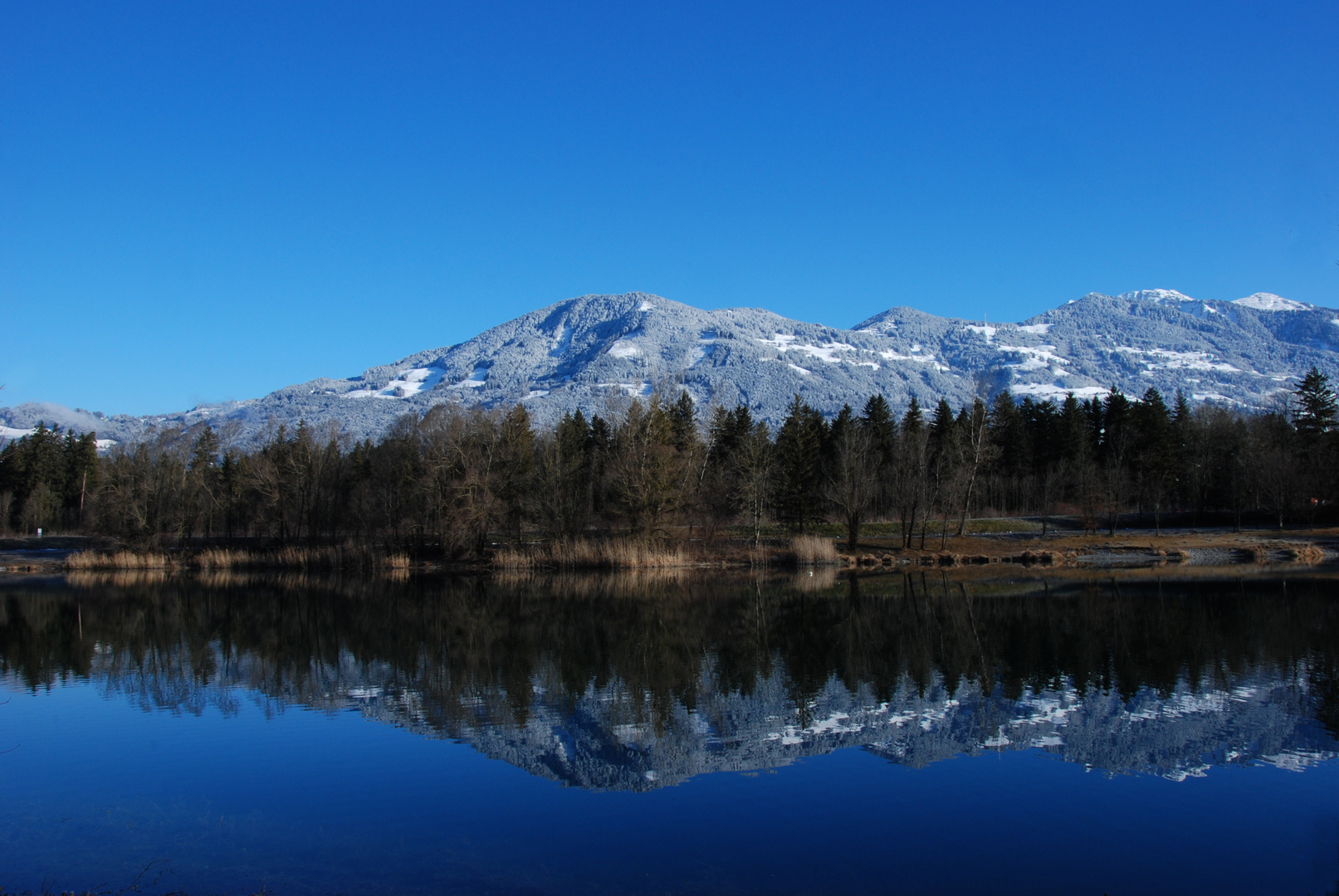 Am See