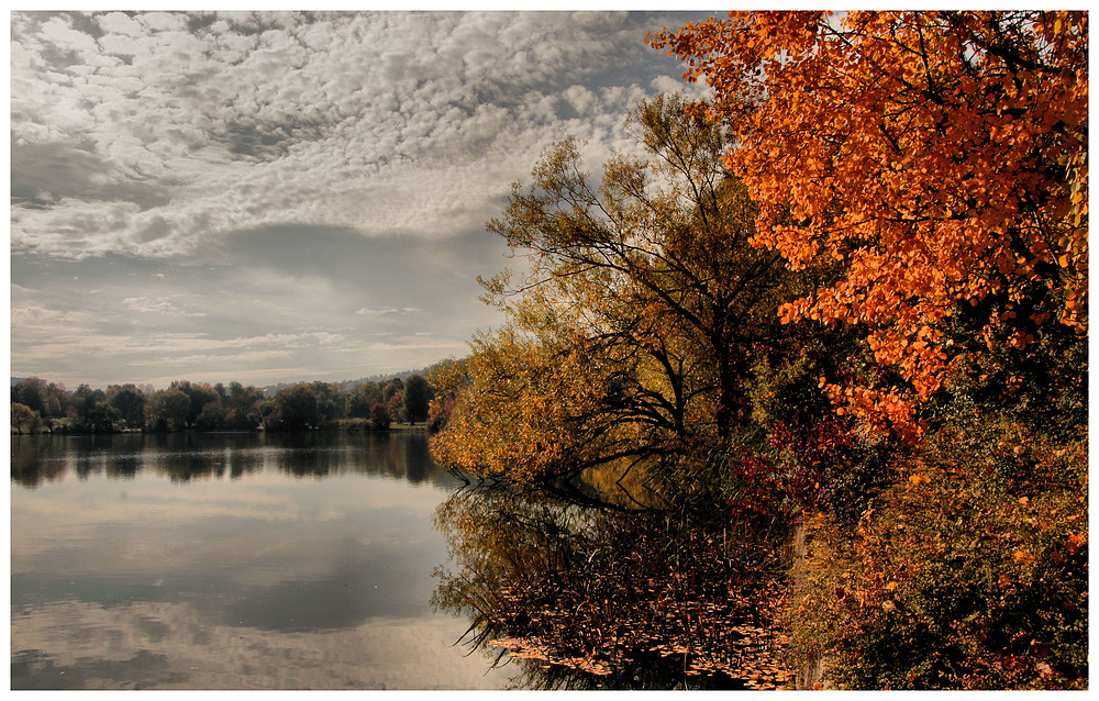 AM SEE