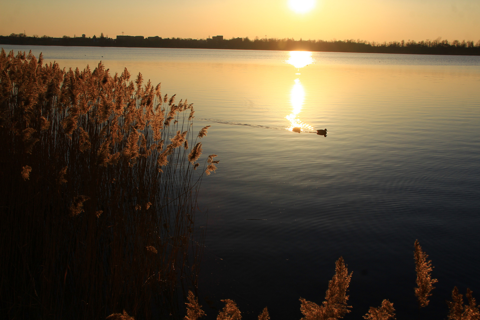 Am See