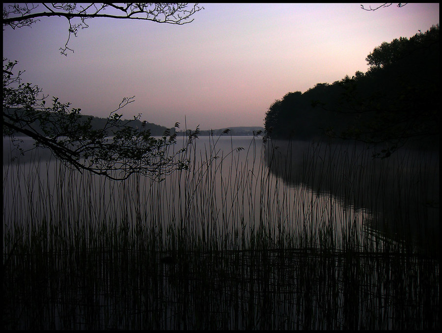 Am See