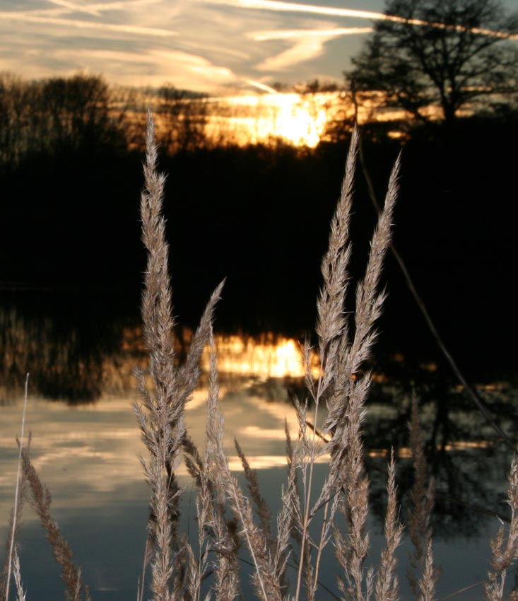 Am See