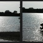 Am See