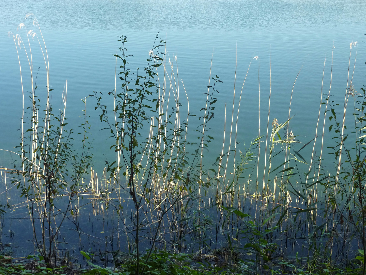 am See