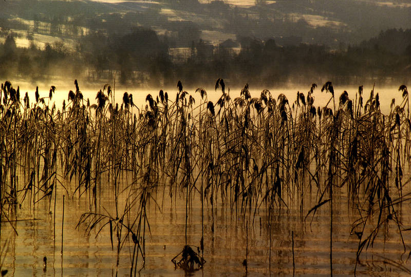 Am See