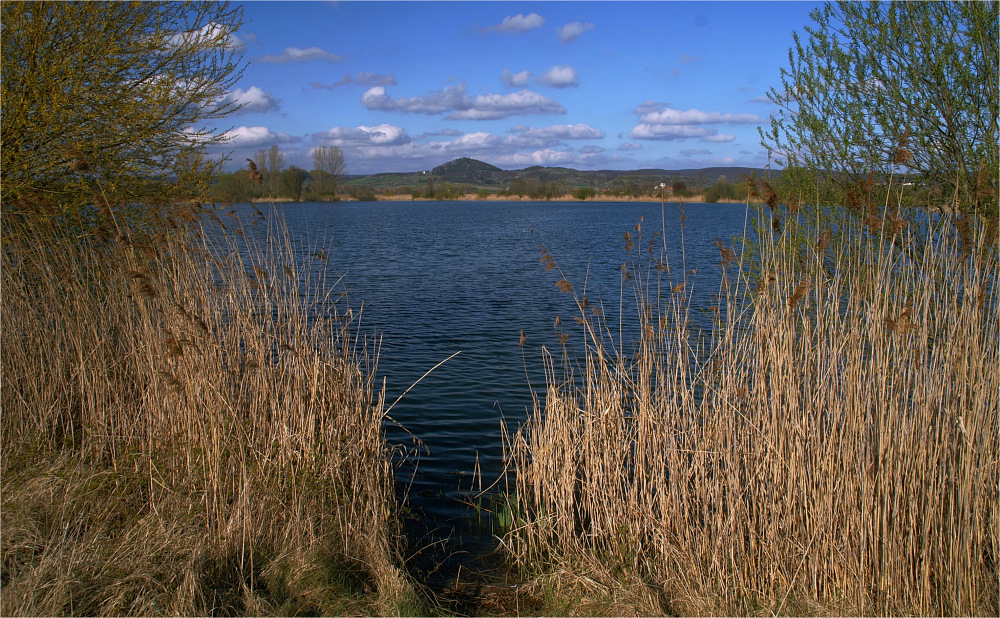 Am See