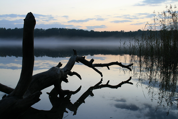 Am See