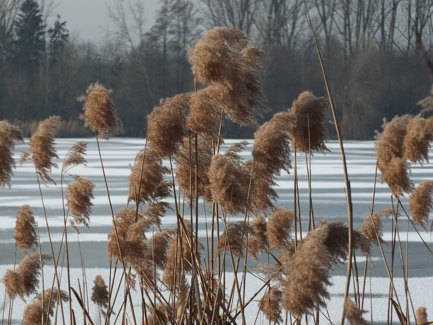 Am See