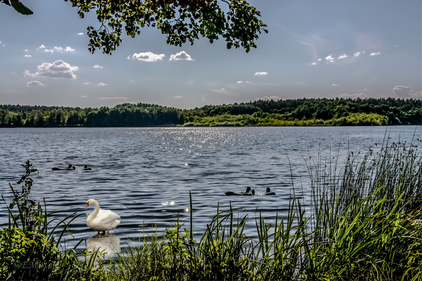 am See