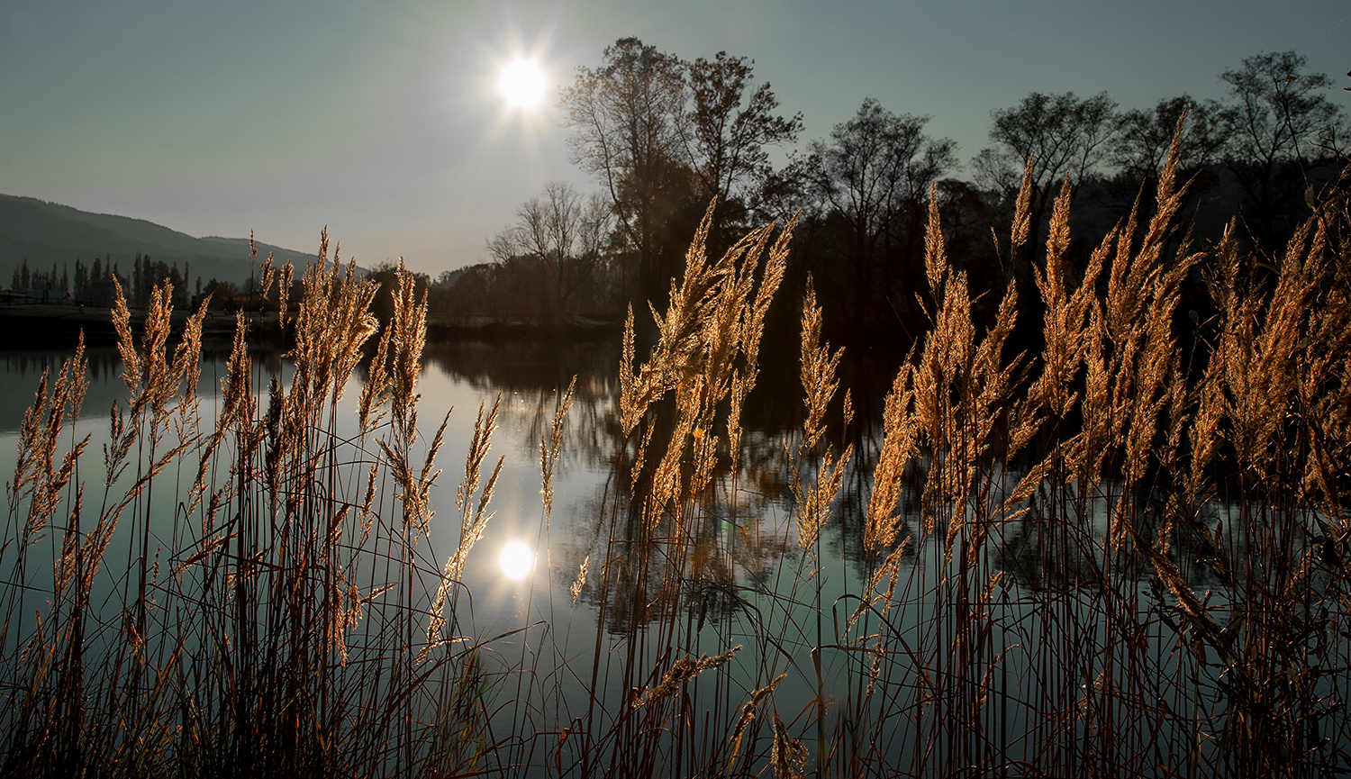 Am See