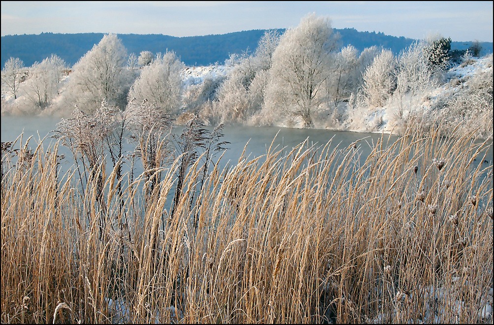 Am See...