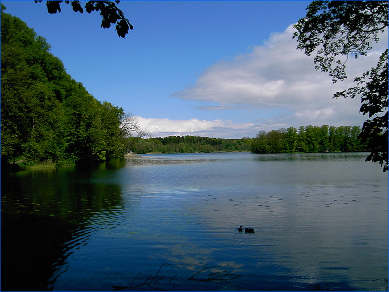 Am See