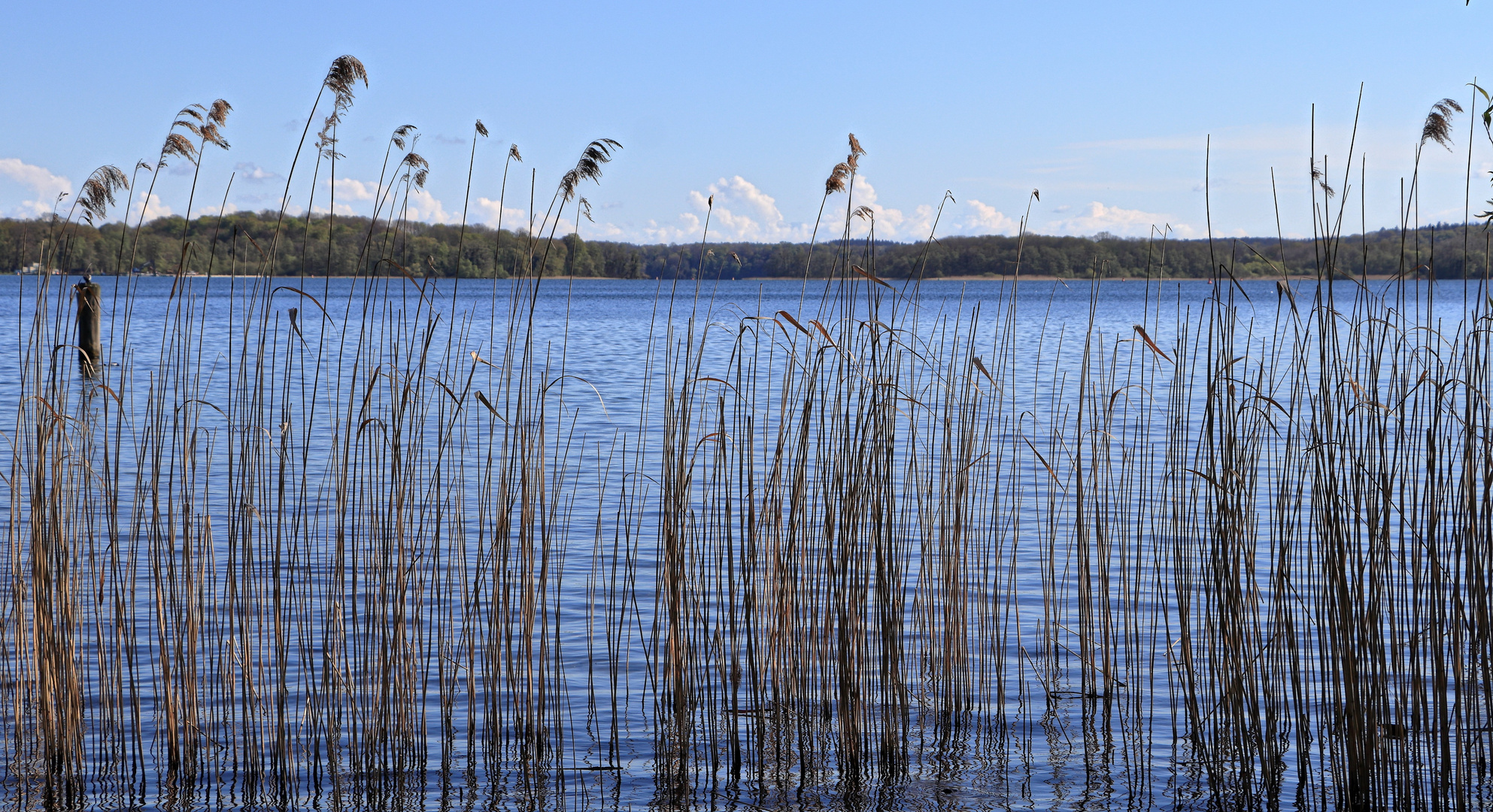 Am See