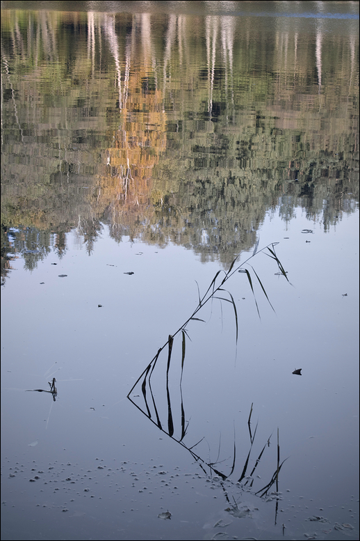 am See