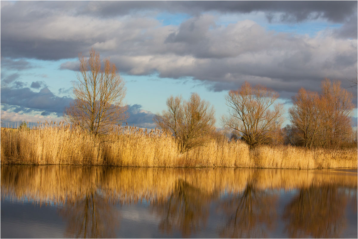 am See