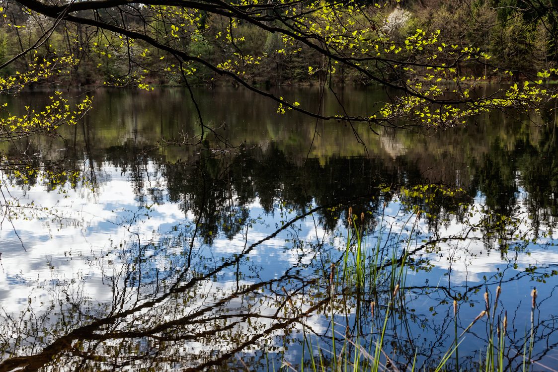 Am See