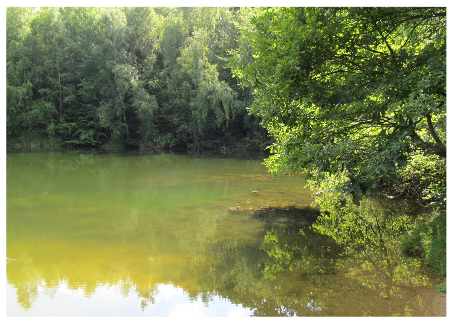 am See am Wald Westerberg ...