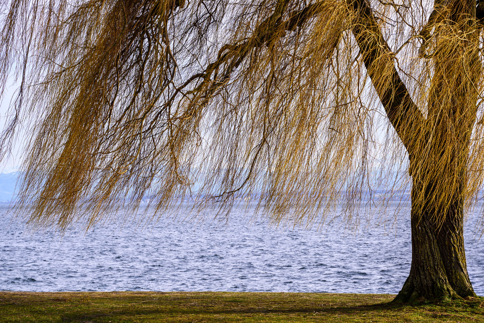 Am See - Au bord du lac