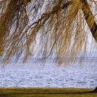 Am See - Au bord du lac