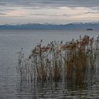 Am See - Au lac