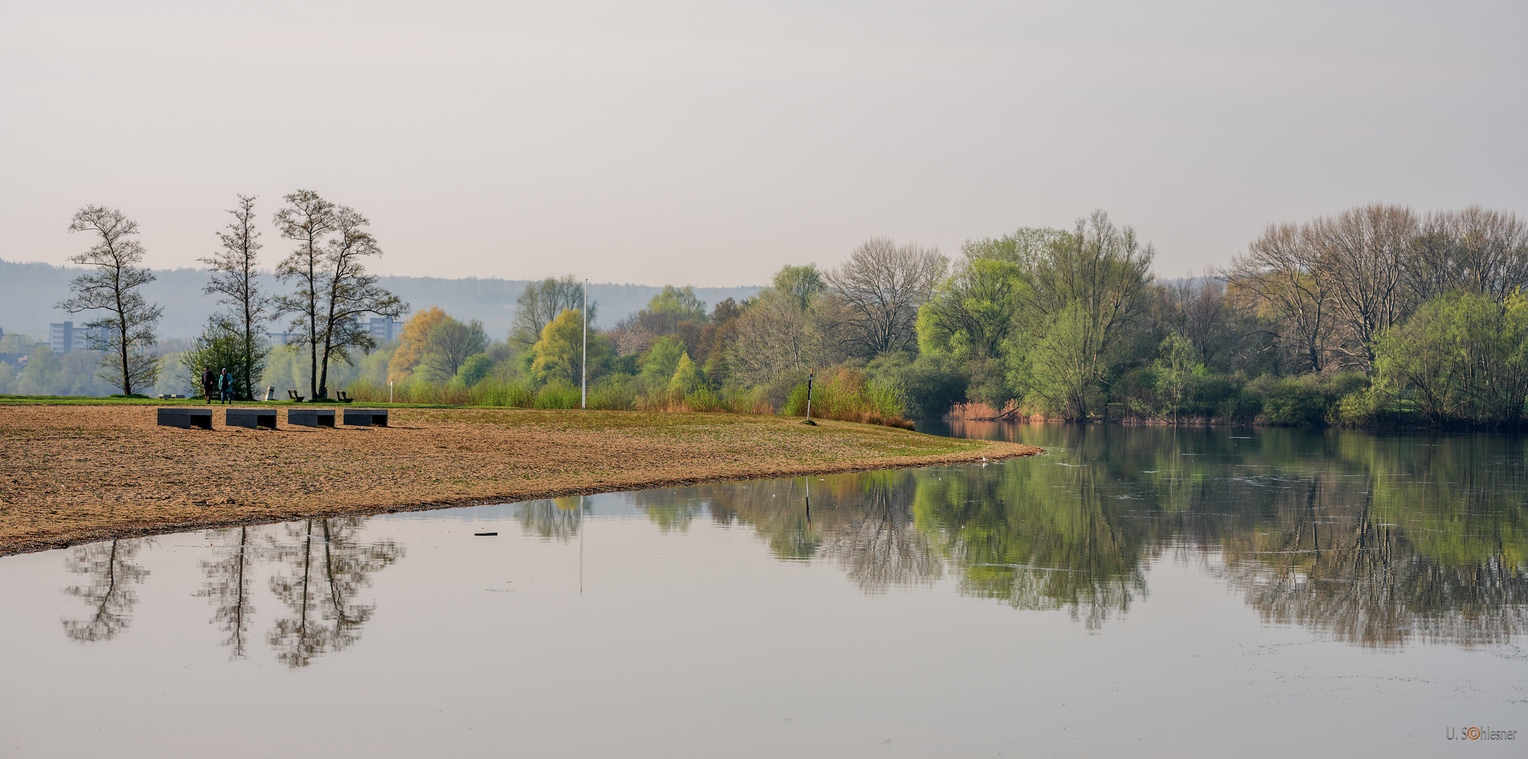 Am  See