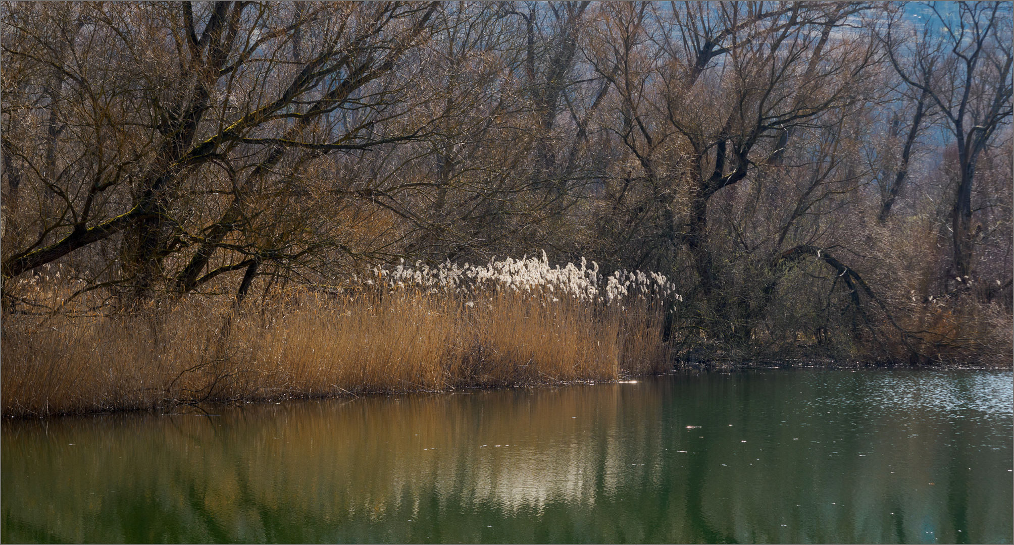 Am See