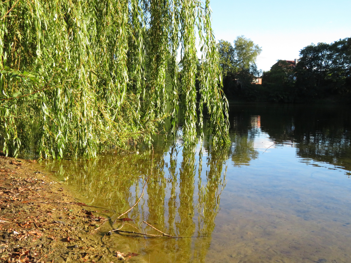 am See bei Sonnenschein ... 