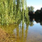 am See bei Sonnenschein ... 