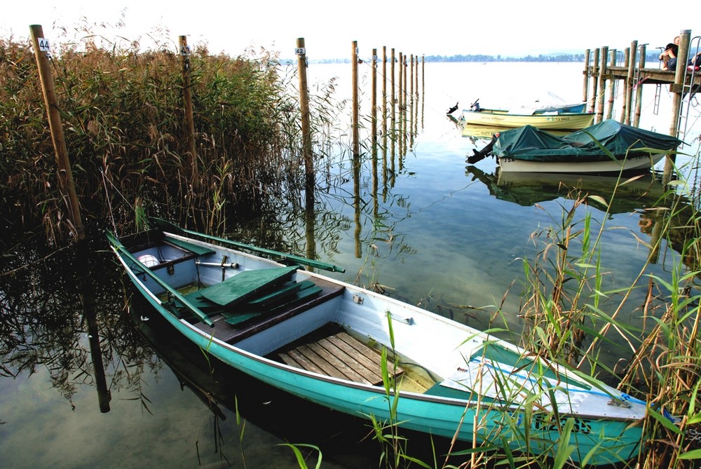 Am See bei Triboltingen CH