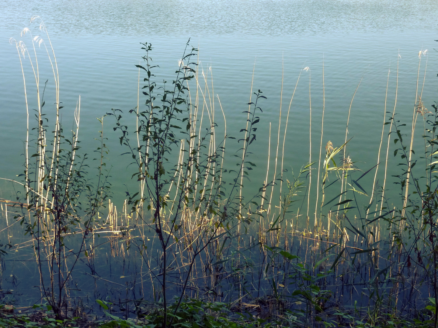 am See