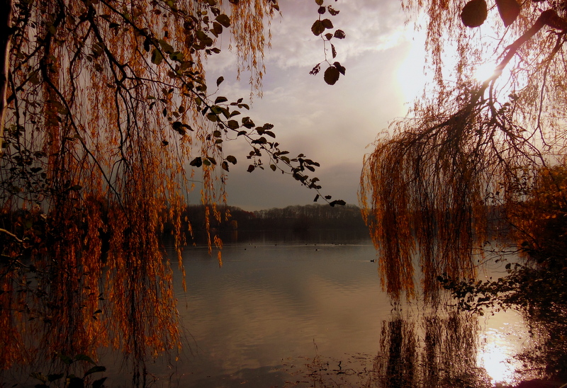 Am See 