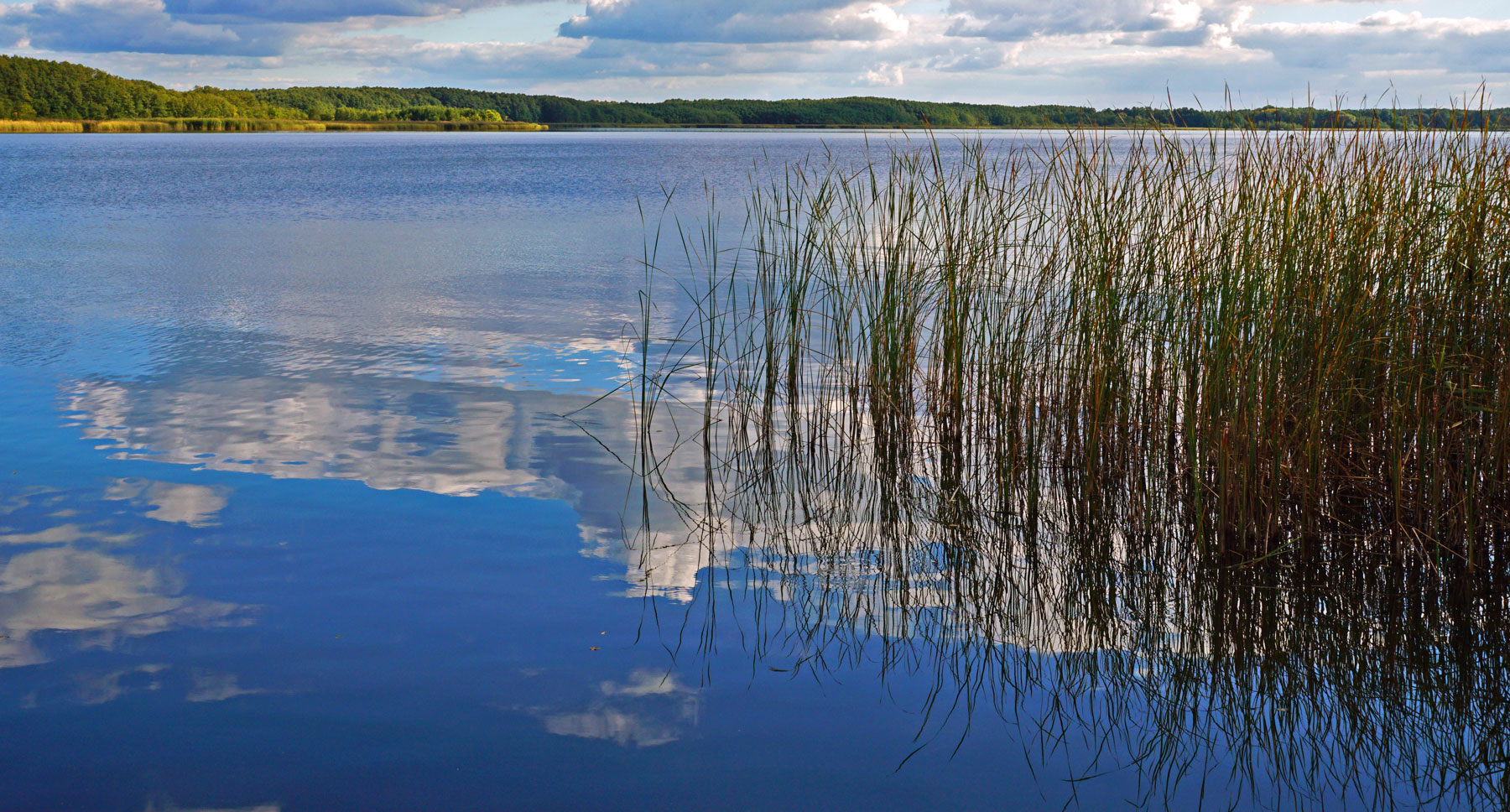 am See