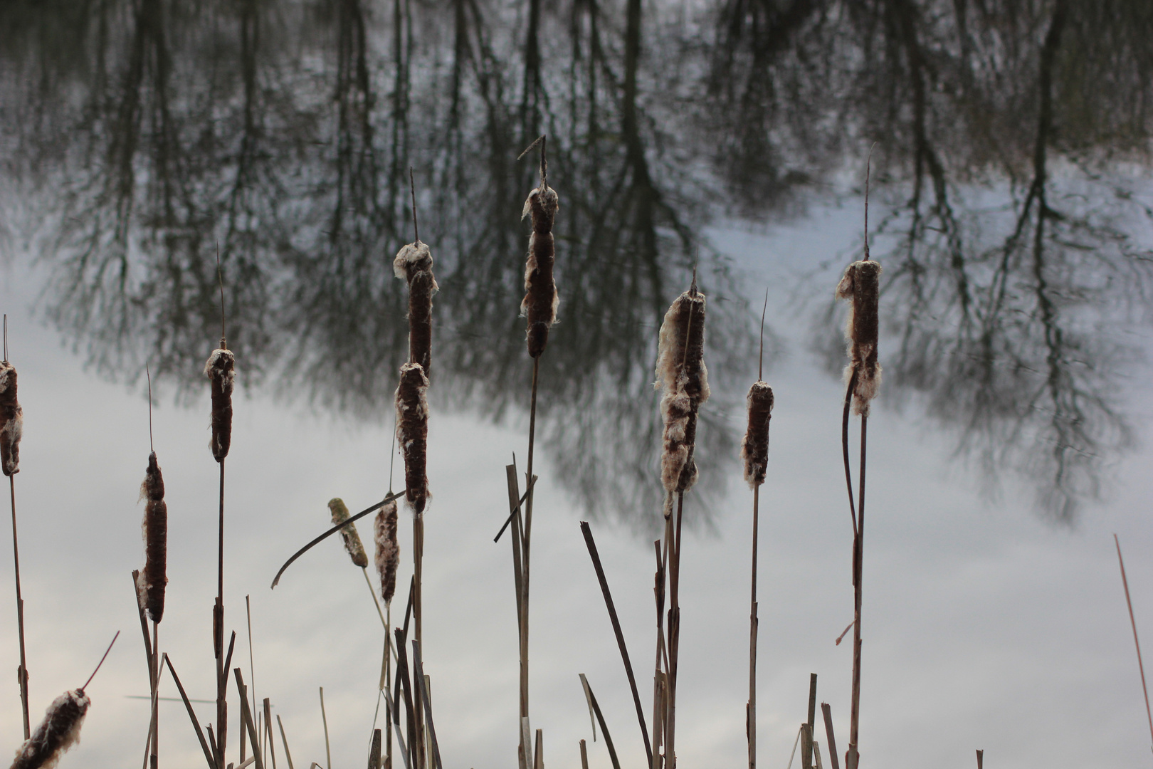 am See