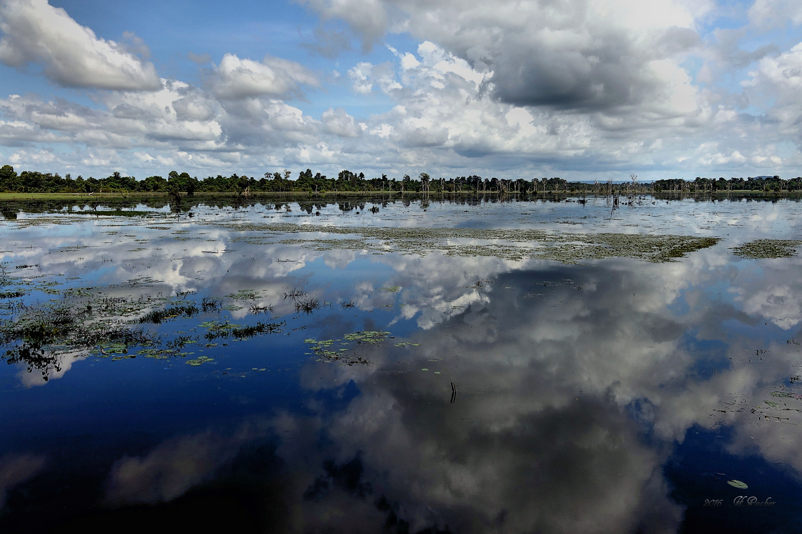 Am See