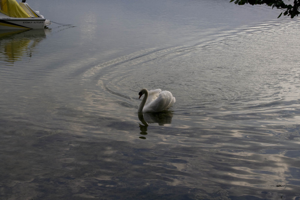 am See