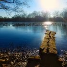 Am See (Donnerstag - Wasser)