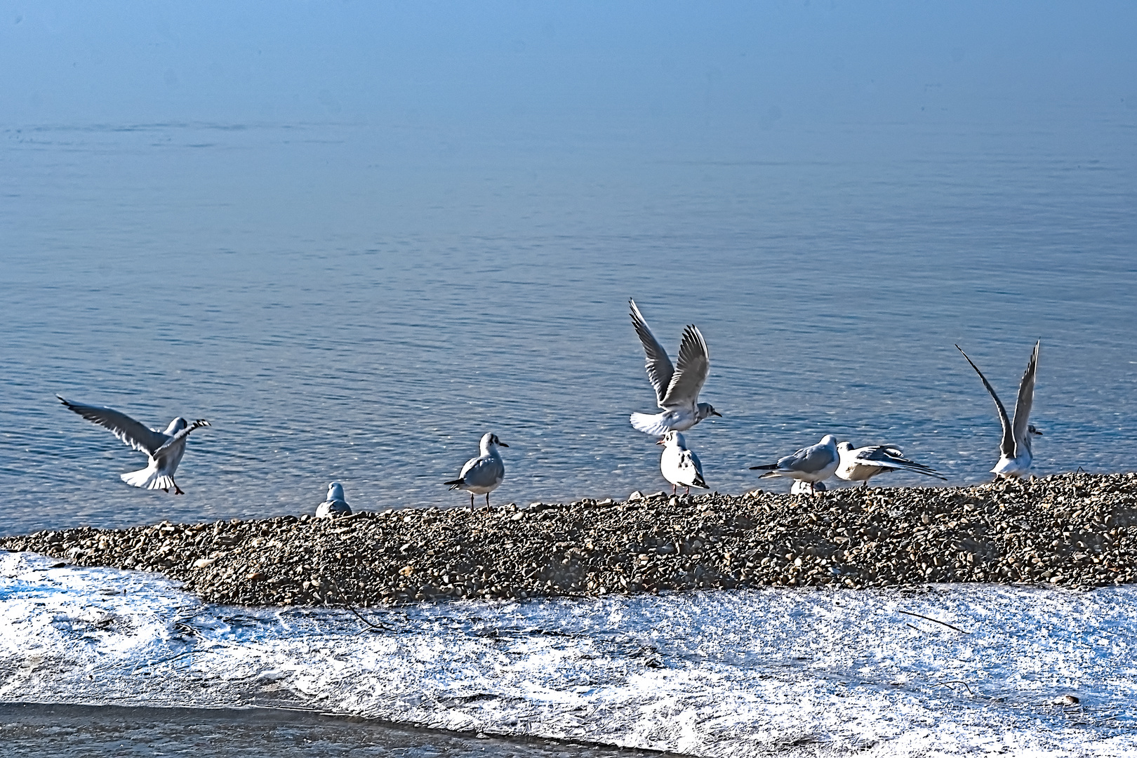 Am See (DSC_3076)