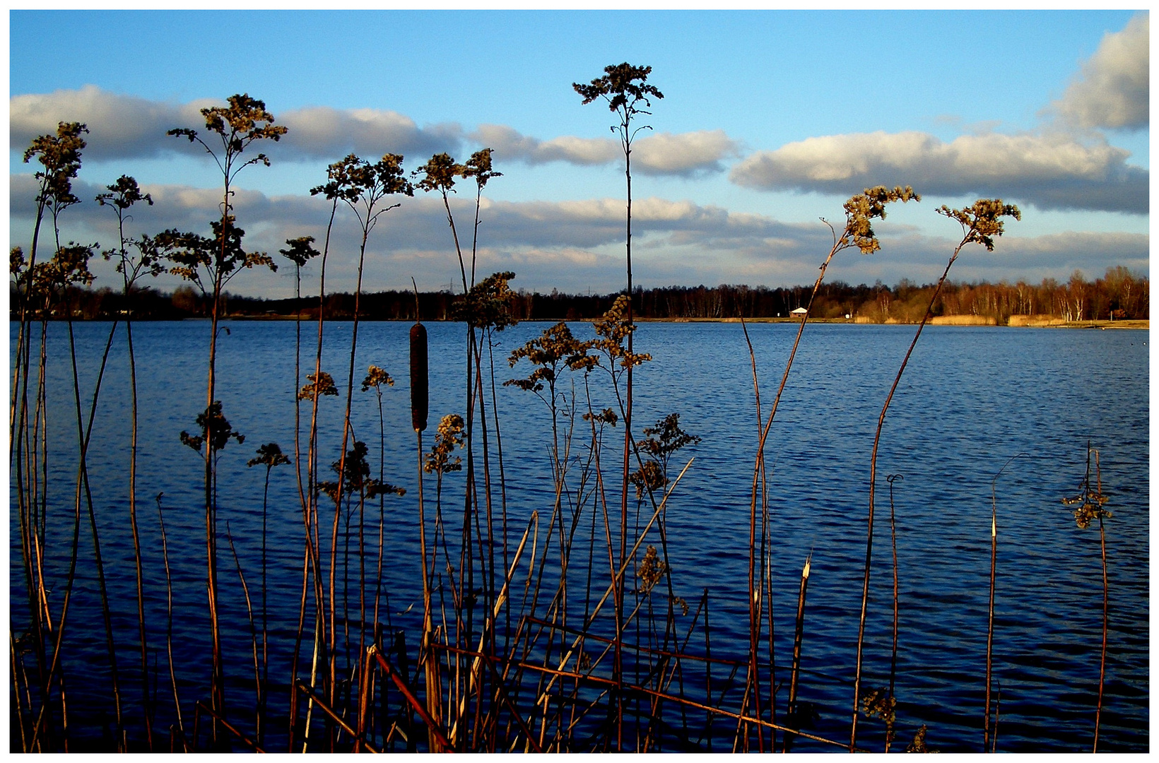 Am See