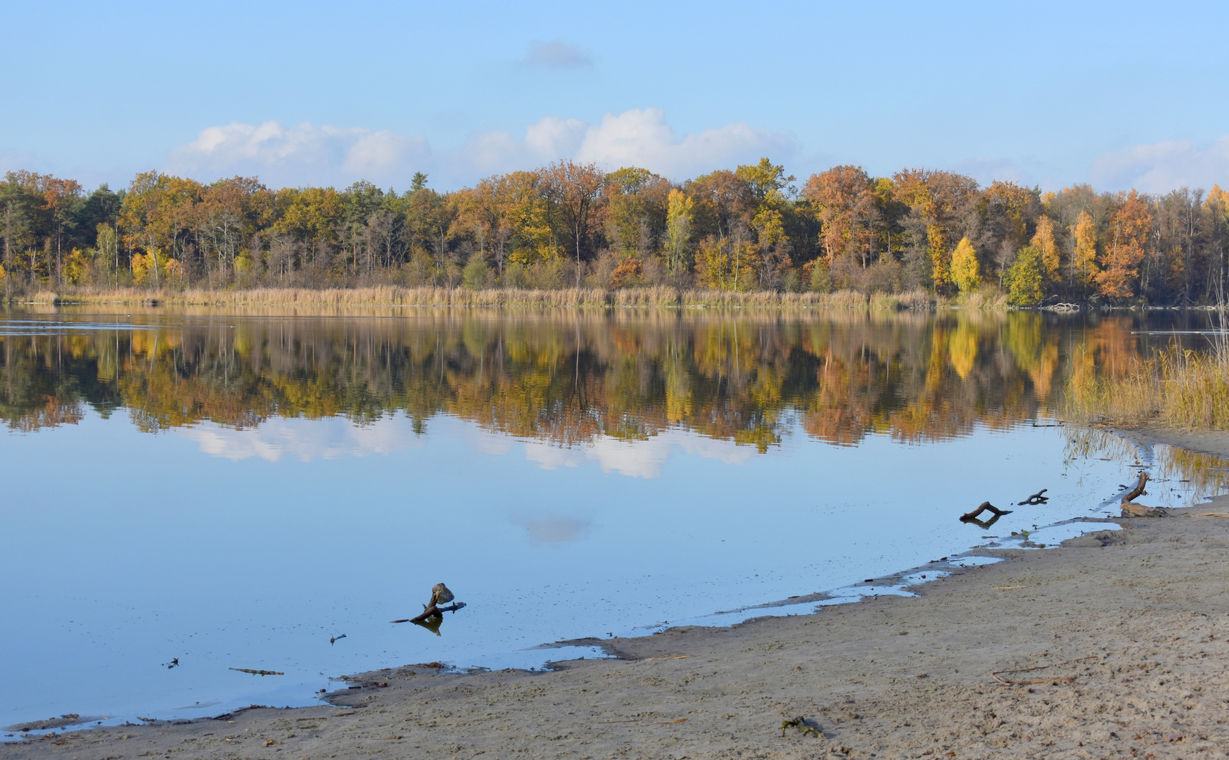 Am See