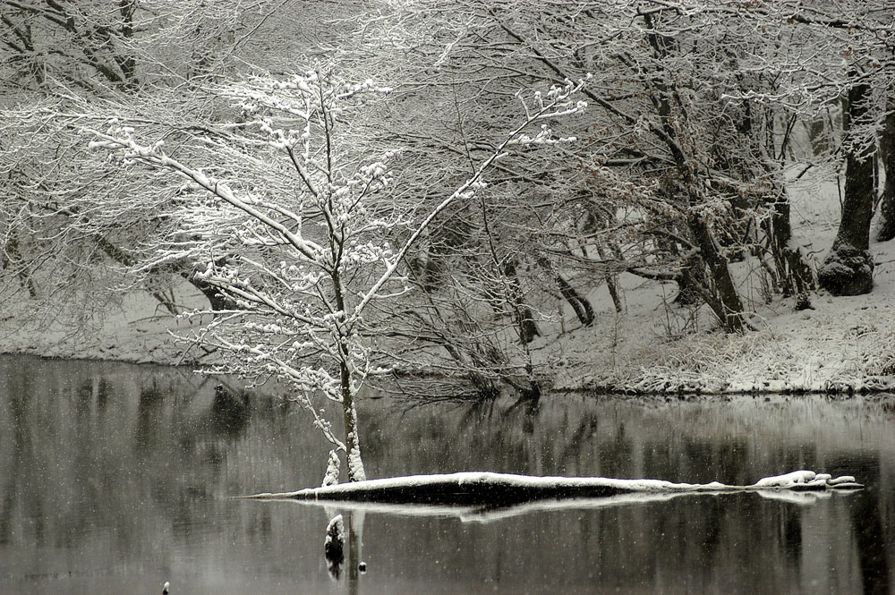 am See