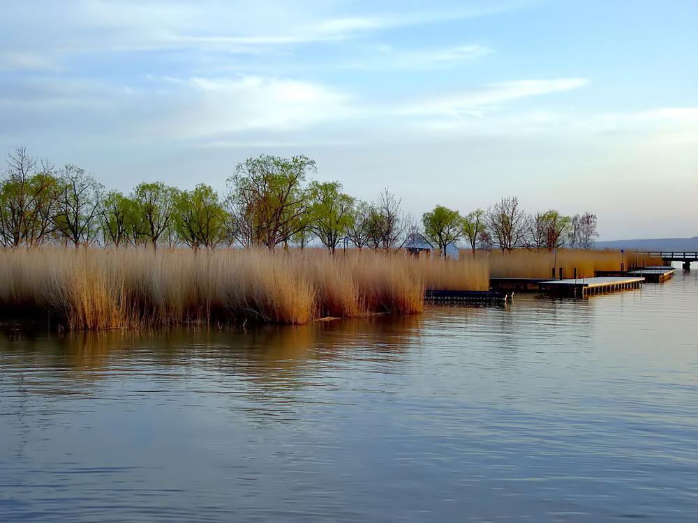 Am See