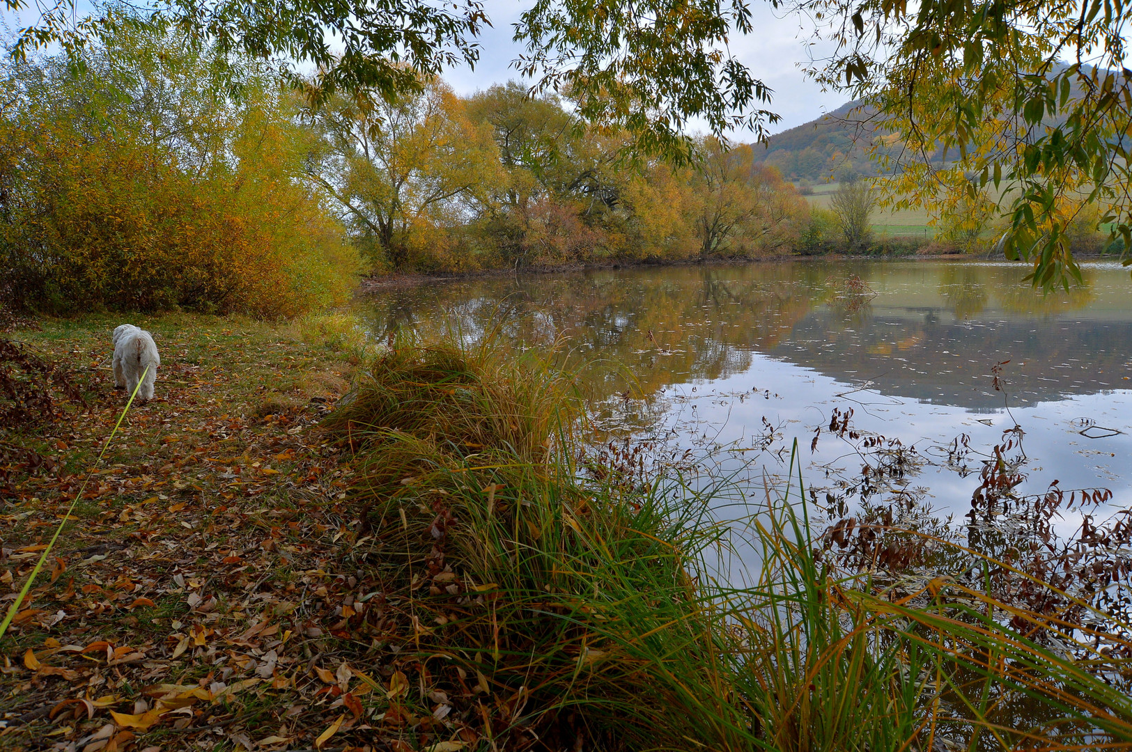 am See (en el lago)