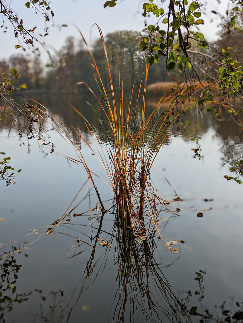 Am See entdeckt ...