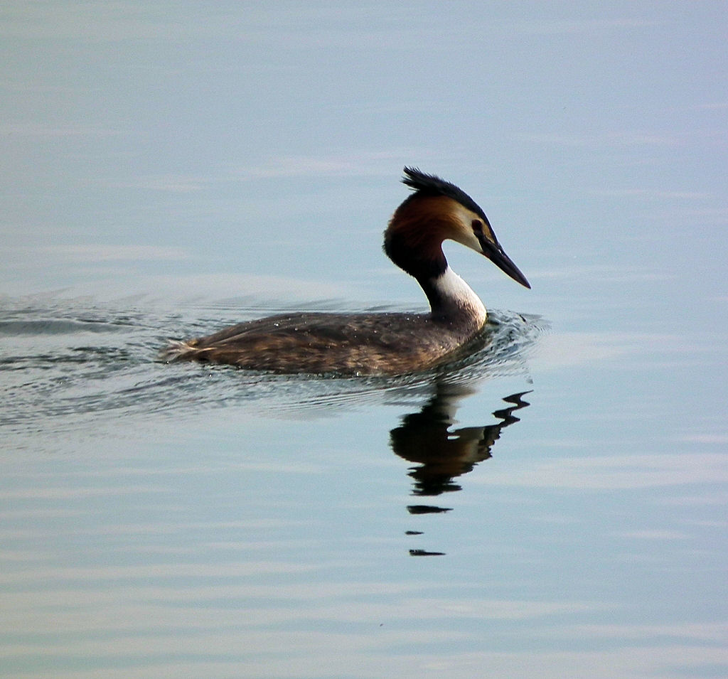 Am See entdeckt