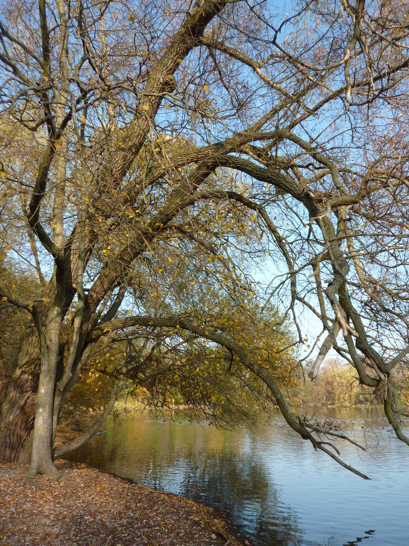 Am See